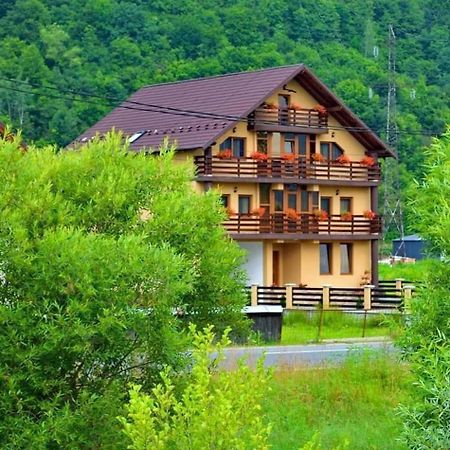 Casa Vadeanu Hotel Sighetu Marmaţiei Eksteriør billede