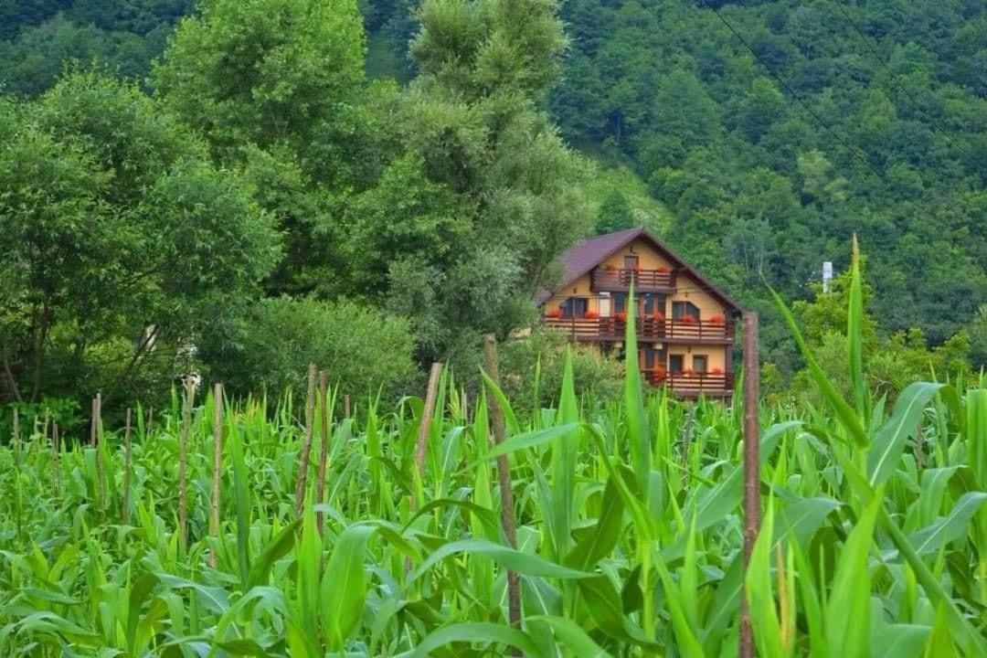 Casa Vadeanu Hotel Sighetu Marmaţiei Eksteriør billede
